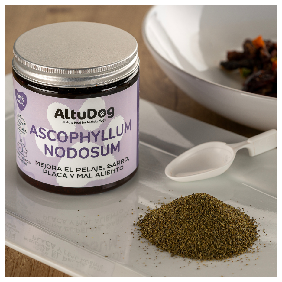 Algas Marinhas Ascophyllum Nodosum BIO, 150g - Imagem 2