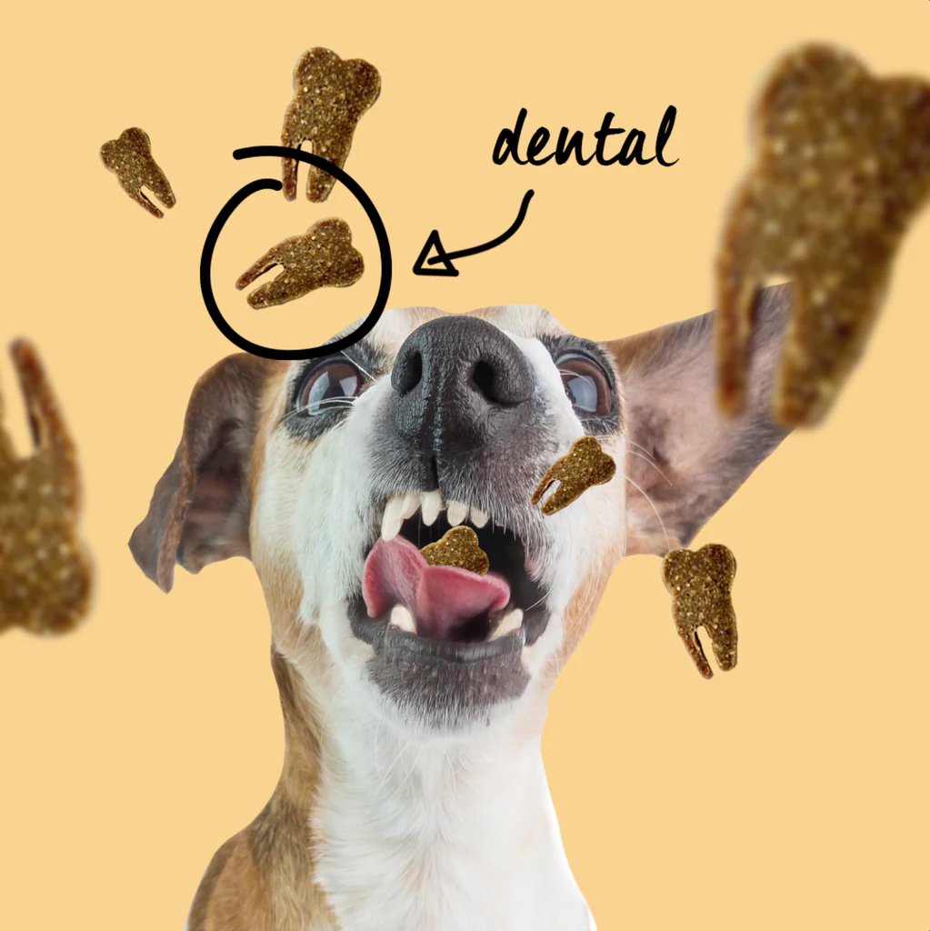 Snack pato - Imagem 4